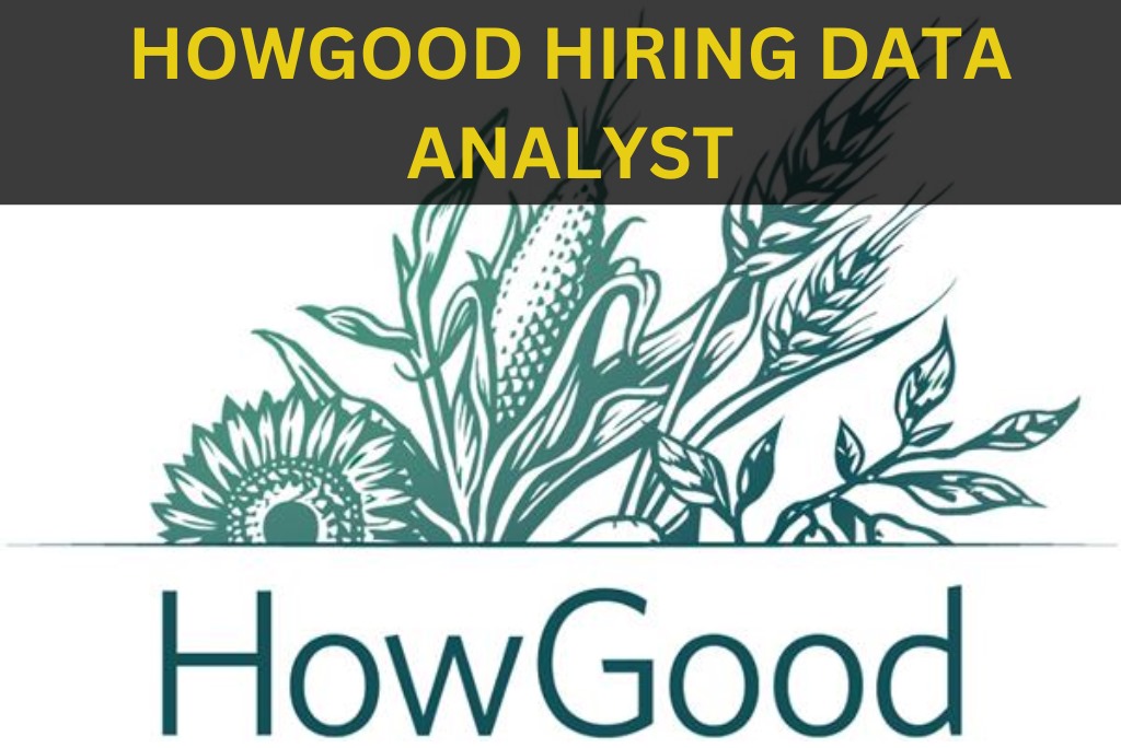 HOWGOOD IS HIRING FOR DATA ANALYST